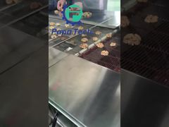 চকলেট আবরণে আখরোট