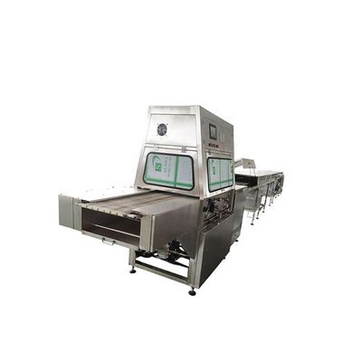 ভালো দাম 220V/380V 50/60Hz Chocolate Enrober Machine with 200-300 kg per Hour Capacity for Wafer Cookies & Biscuits অনলাইন